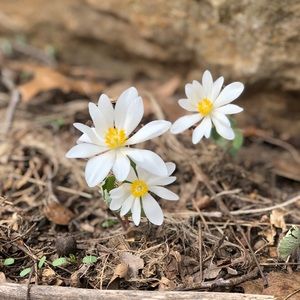 Meet your Posher, Deb